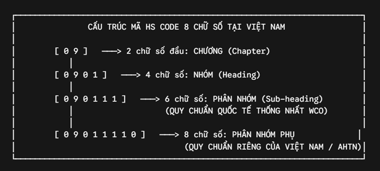 CẤU TRÚC MÃ HS CODE 8 CHỮ SỐ TẠI VIỆT NAM